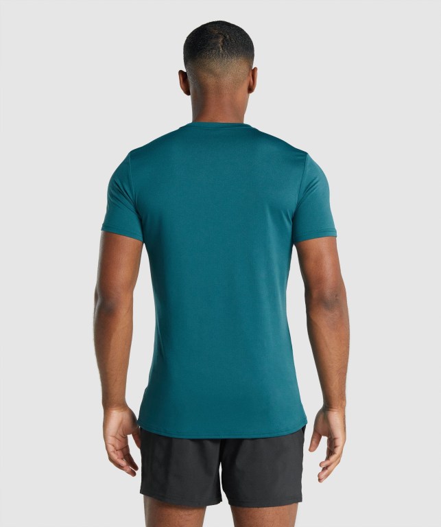 Gymshark Arrival Graphic Men's T Shirts Turquoise | UAE-94OKYH