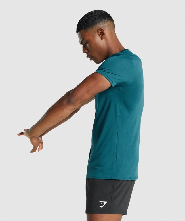 Gymshark Arrival Graphic Men's T Shirts Turquoise | UAE-94OKYH