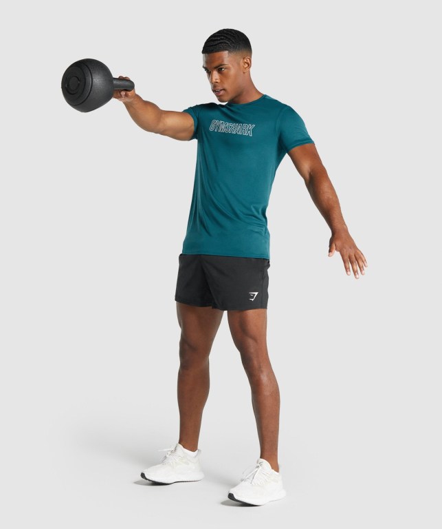 Gymshark Arrival Graphic Men's T Shirts Turquoise | UAE-94OKYH