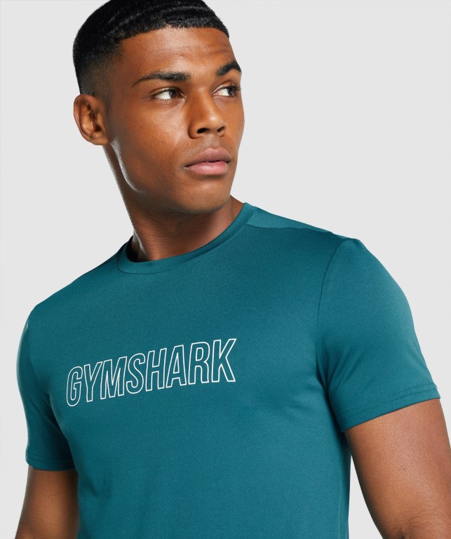 Gymshark Arrival Graphic Men's T Shirts Turquoise | UAE-94OKYH