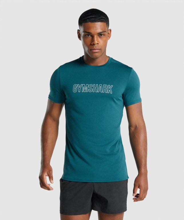 Gymshark Arrival Graphic Men\'s T Shirts Turquoise | UAE-94OKYH