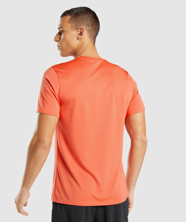 Gymshark Arrival Men's T Shirts Orange | UAE-29XZQJ