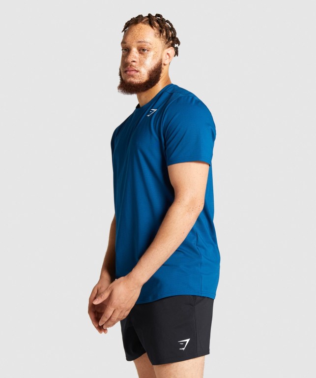 Gymshark Arrival Regular Fit Men's T Shirts Blue | UAE-27ICSX