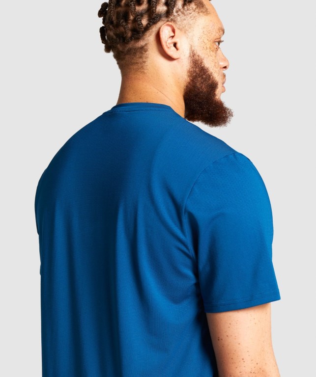 Gymshark Arrival Regular Fit Men's T Shirts Blue | UAE-27ICSX