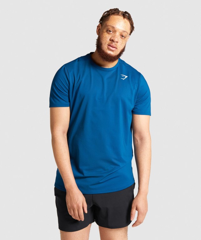 Gymshark Arrival Regular Fit Men\'s T Shirts Blue | UAE-27ICSX