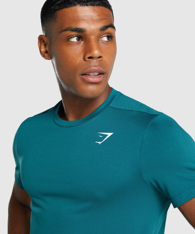 Gymshark Arrival Regular Fit Men's T Shirts Turquoise | UAE-43ERYU