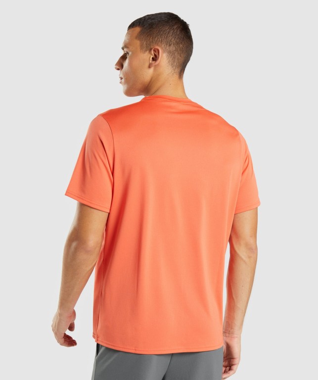 Gymshark Arrival Regular Fit Men's T Shirts Orange | UAE-89SZPE