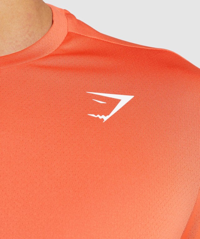 Gymshark Arrival Regular Fit Men's T Shirts Orange | UAE-89SZPE