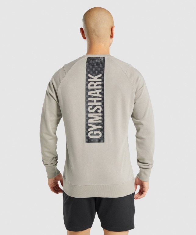 Gymshark Bold Crew Men's Hoodies Grey | UAE-95WFYZ