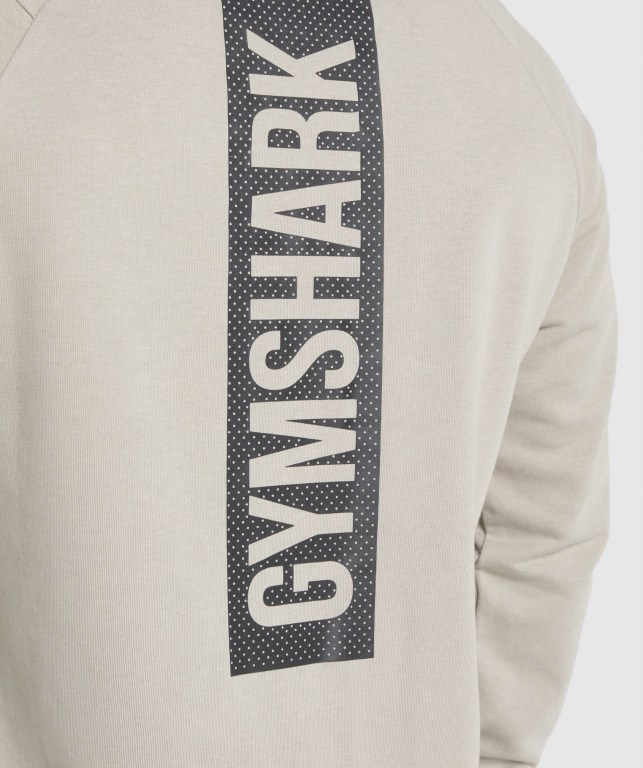 Gymshark Bold Crew Men's Hoodies Grey | UAE-95WFYZ