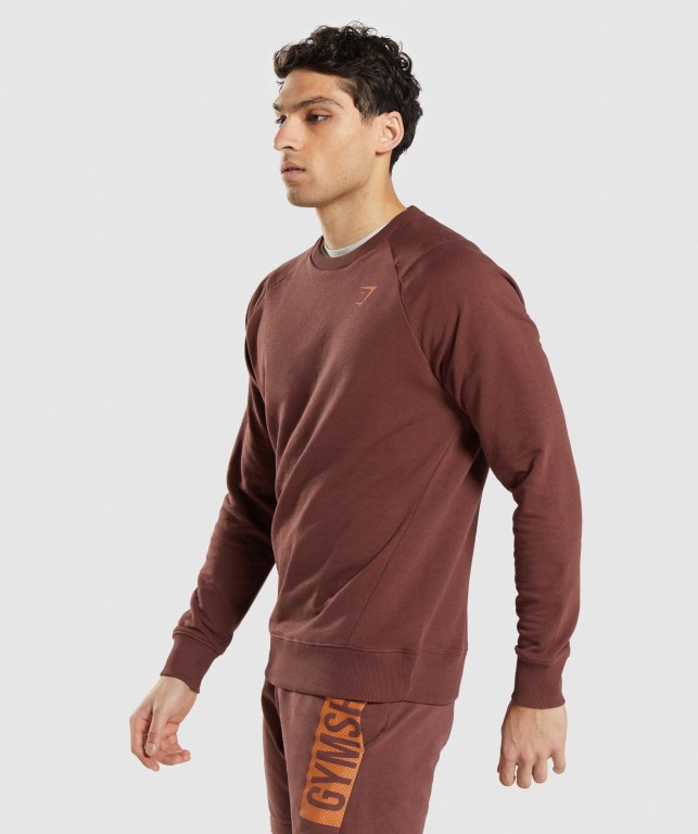 Gymshark Bold Crew Men's Hoodies Pink Brown | UAE-69IXAO