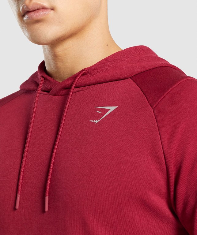 Gymshark Bold Men's Hoodies Burgundy | UAE-16ZHTC