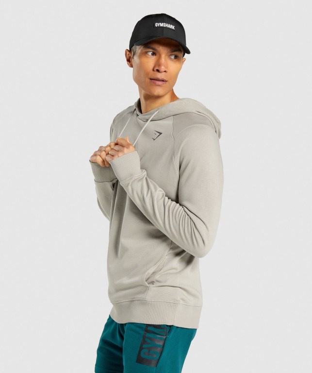 Gymshark Bold Men's Hoodies Grey | UAE-81ATCB