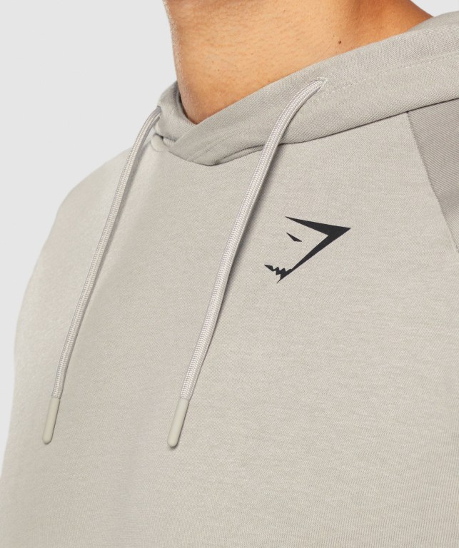 Gymshark Bold Men's Hoodies Grey | UAE-81ATCB