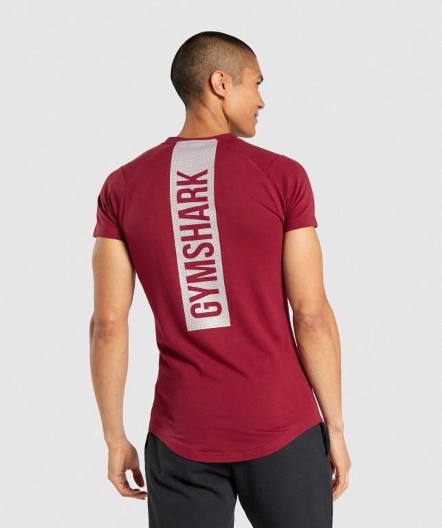 Gymshark Bold Men's T Shirts Burgundy | UAE-29NQYL