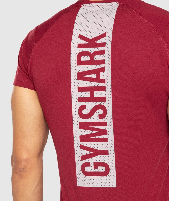 Gymshark Bold Men's T Shirts Burgundy | UAE-29NQYL