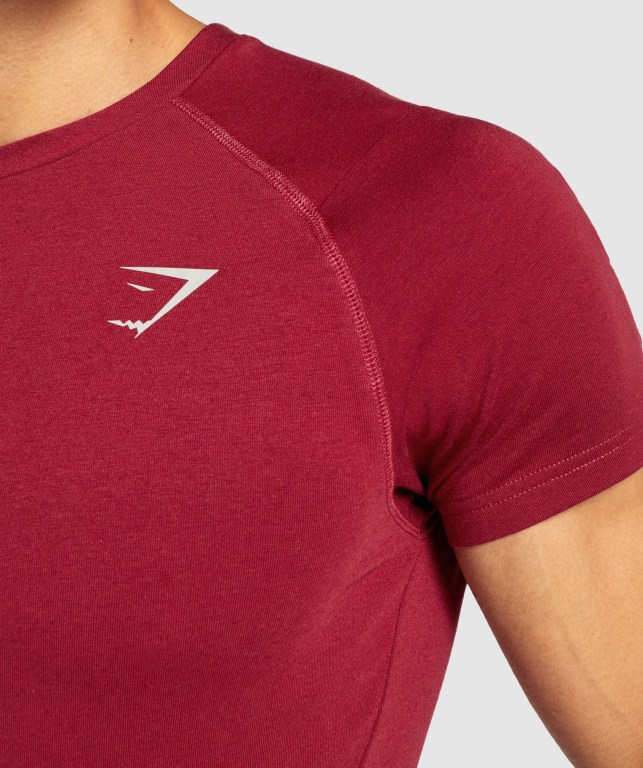 Gymshark Bold Men's T Shirts Burgundy | UAE-29NQYL