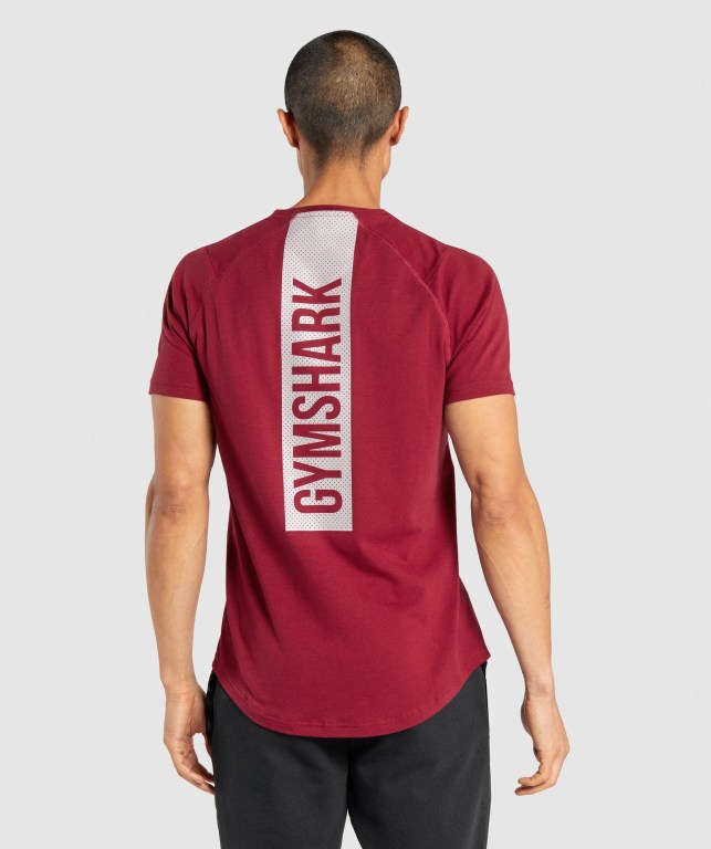 Gymshark Bold Men's T Shirts Burgundy | UAE-41RSZY