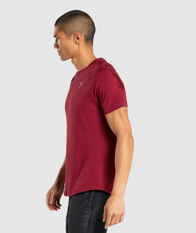 Gymshark Bold Men's T Shirts Burgundy | UAE-41RSZY