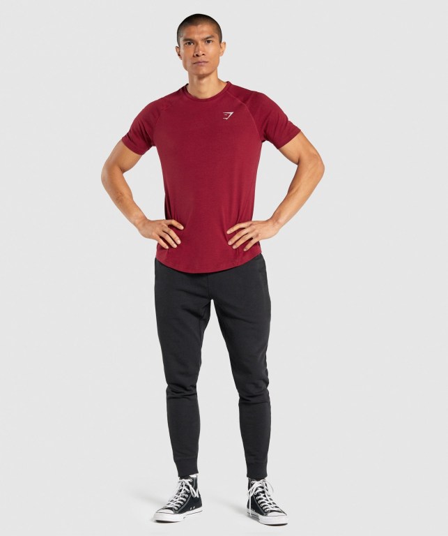 Gymshark Bold Men's T Shirts Burgundy | UAE-41RSZY