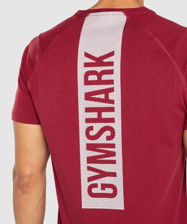 Gymshark Bold Men's T Shirts Burgundy | UAE-41RSZY