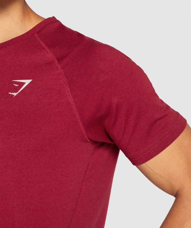 Gymshark Bold Men's T Shirts Burgundy | UAE-41RSZY