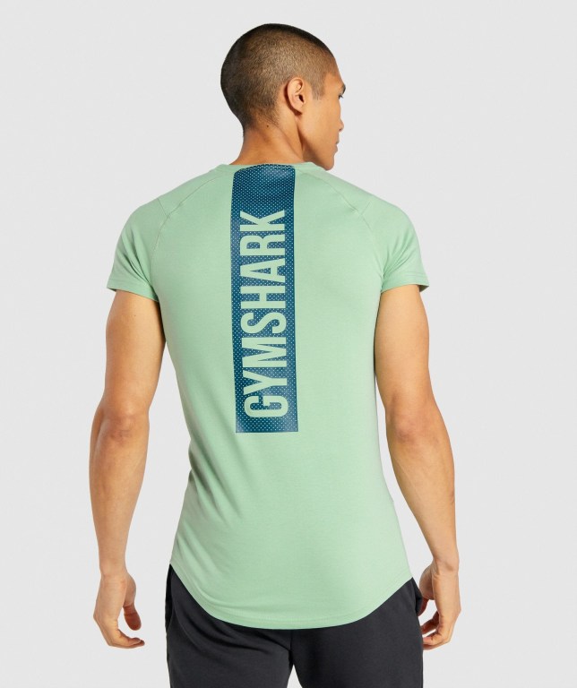 Gymshark Bold Men's T Shirts Green | UAE-04BRVG