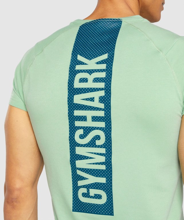 Gymshark Bold Men's T Shirts Green | UAE-04BRVG