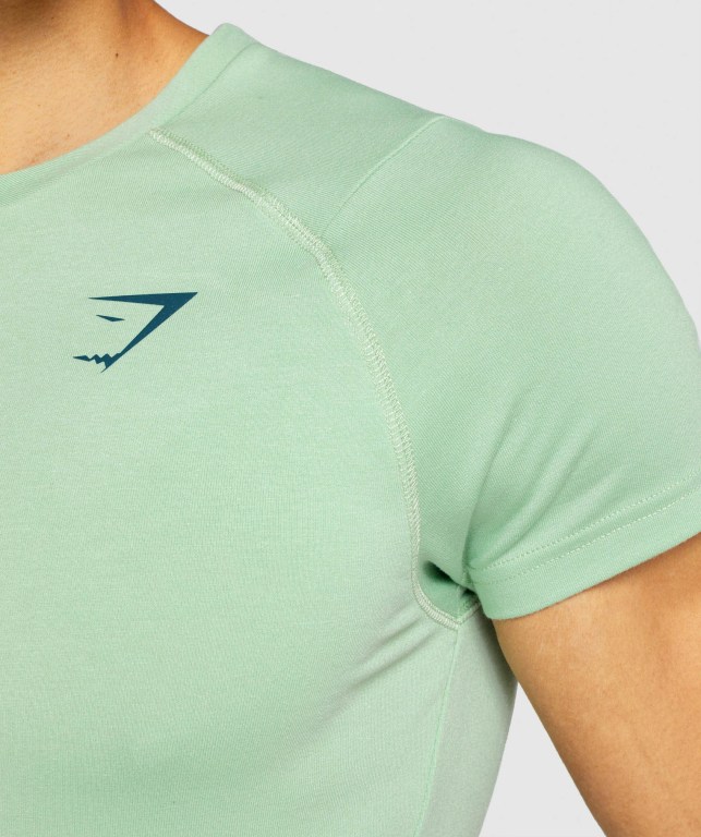 Gymshark Bold Men's T Shirts Green | UAE-04BRVG