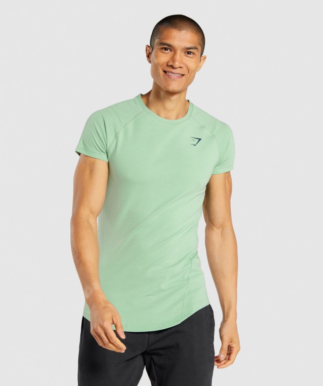 Gymshark Bold Men\'s T Shirts Green | UAE-04BRVG