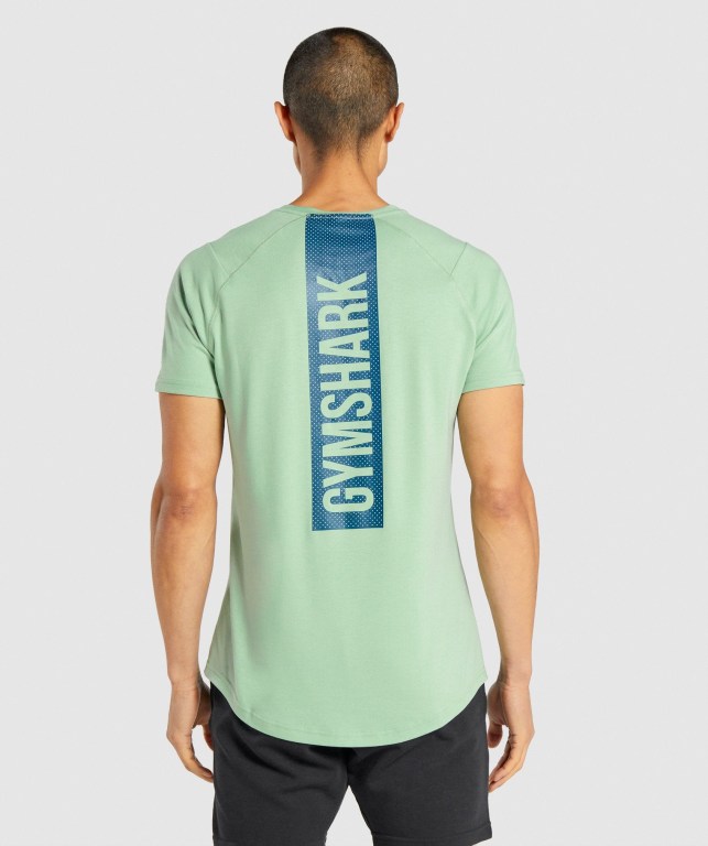 Gymshark Bold Men's T Shirts Green | UAE-85CPJN