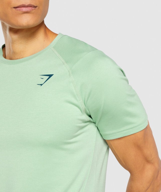 Gymshark Bold Men's T Shirts Green | UAE-85CPJN