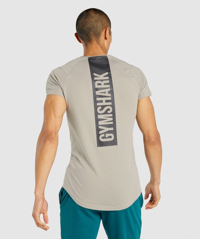 Gymshark Bold Men's T Shirts Grey | UAE-02QEMG