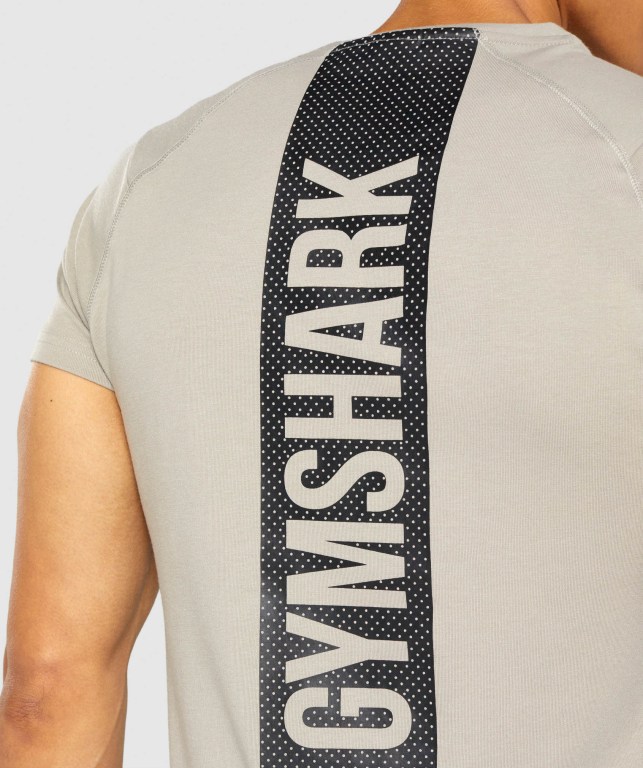 Gymshark Bold Men's T Shirts Grey | UAE-02QEMG