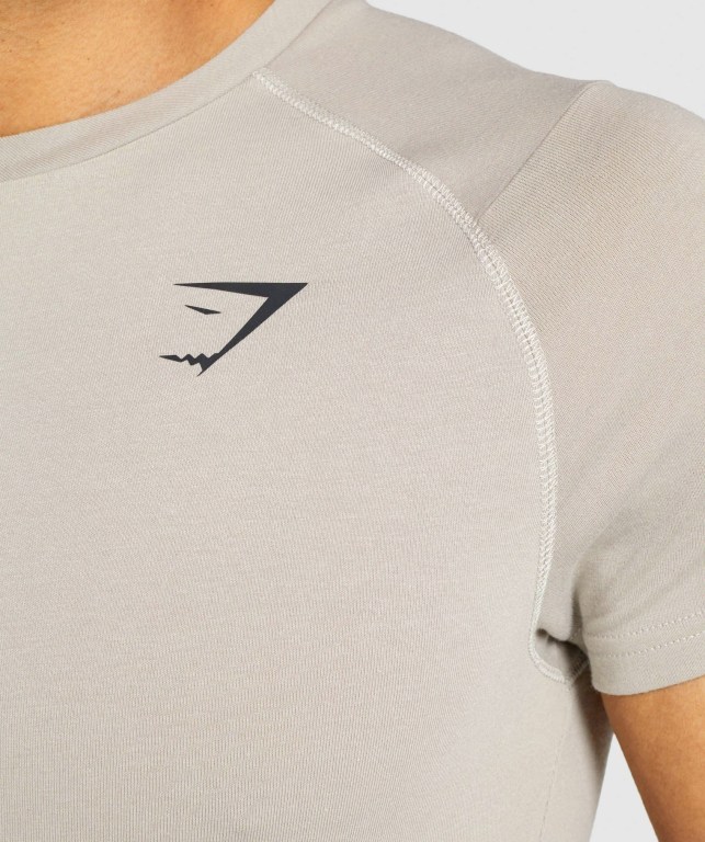 Gymshark Bold Men's T Shirts Grey | UAE-02QEMG