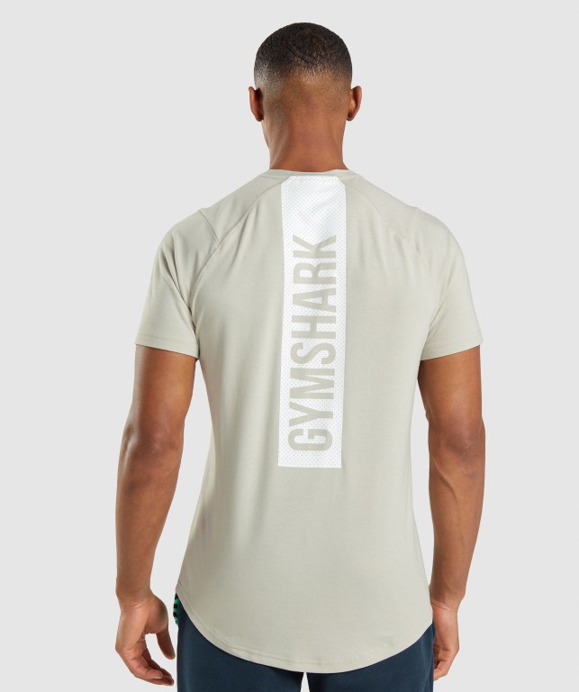 Gymshark Bold Men's T Shirts Grey | UAE-05QZSR