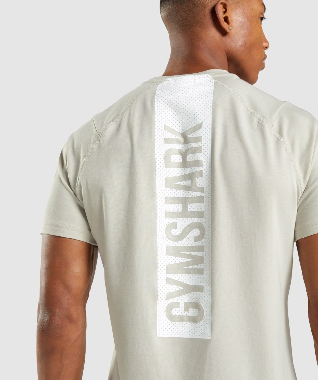 Gymshark Bold Men's T Shirts Grey | UAE-05QZSR