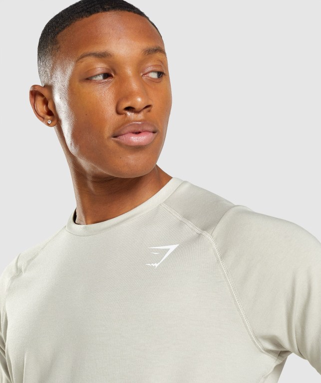 Gymshark Bold Men's T Shirts Grey | UAE-05QZSR