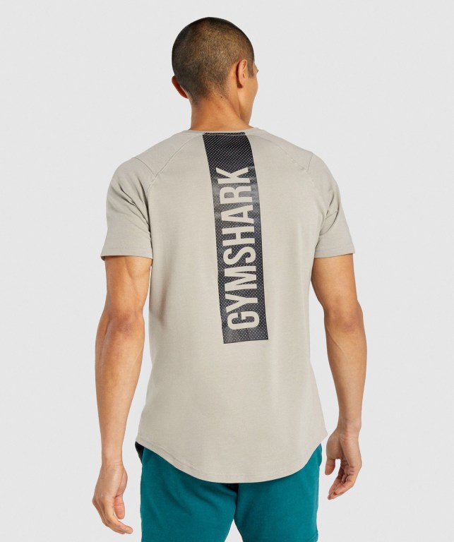 Gymshark Bold Men's T Shirts Grey | UAE-08RSKG