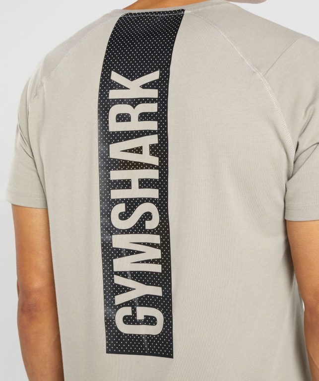 Gymshark Bold Men's T Shirts Grey | UAE-08RSKG