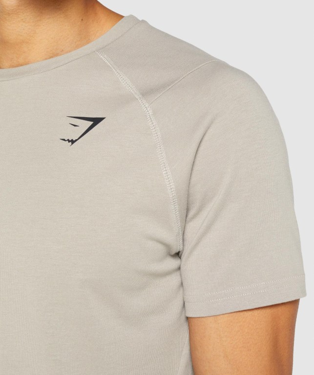 Gymshark Bold Men's T Shirts Grey | UAE-08RSKG