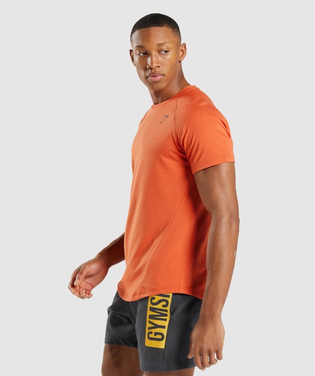 Gymshark Bold Men's T Shirts Orange | UAE-81YRLS