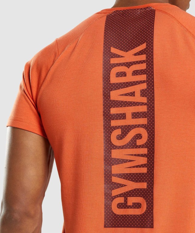 Gymshark Bold Men's T Shirts Orange | UAE-81YRLS