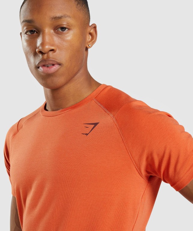 Gymshark Bold Men's T Shirts Orange | UAE-81YRLS