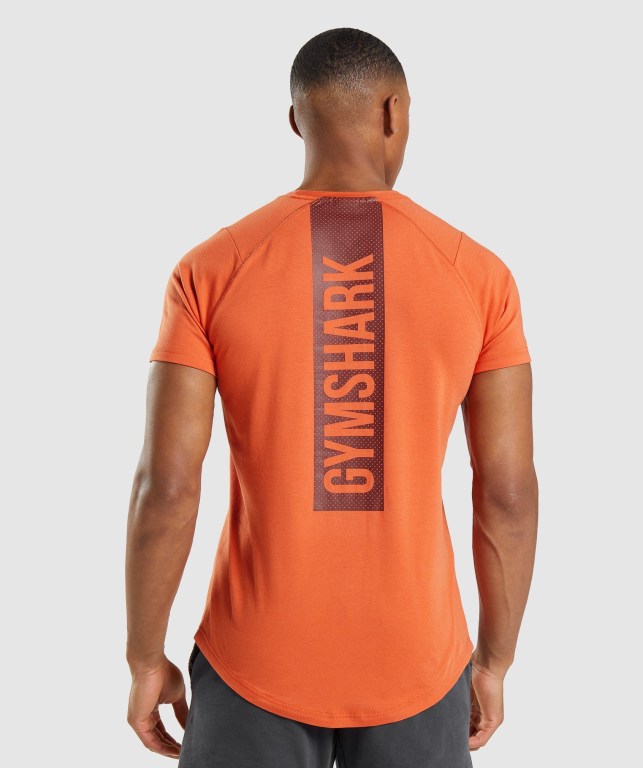 Gymshark Bold Men\'s T Shirts Orange | UAE-81YRLS