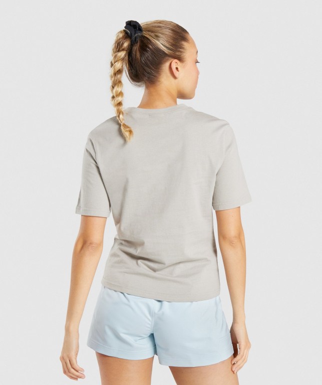 Gymshark CTY Women's T Shirts Grey | UAE-32RYTD