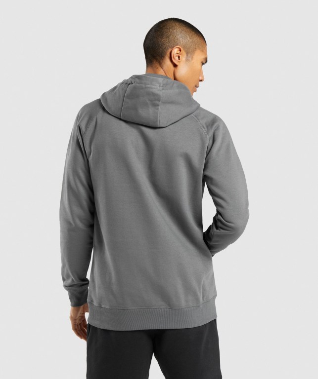 Gymshark Central Men's Hoodies Grey | UAE-50UHDK