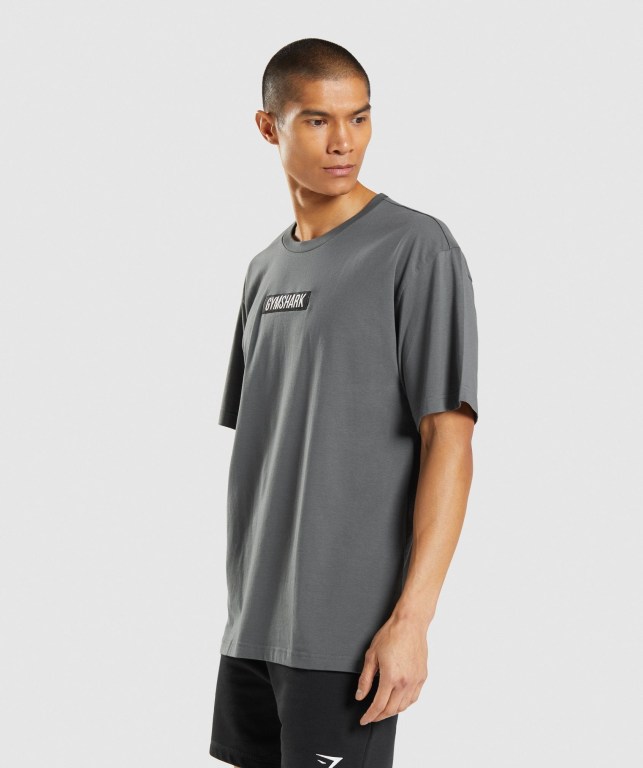 Gymshark Central Oversized Men's T Shirts Grey | UAE-62VPXU