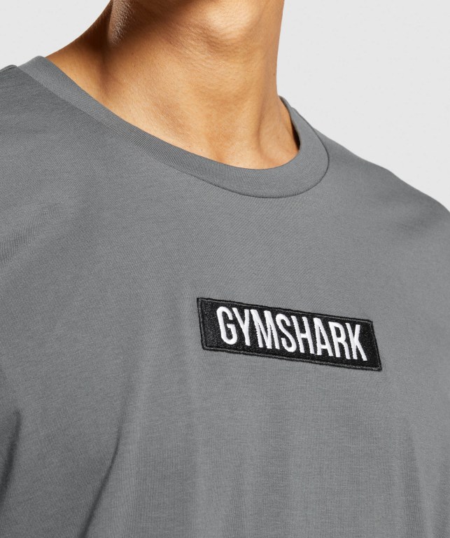 Gymshark Central Oversized Men's T Shirts Grey | UAE-62VPXU