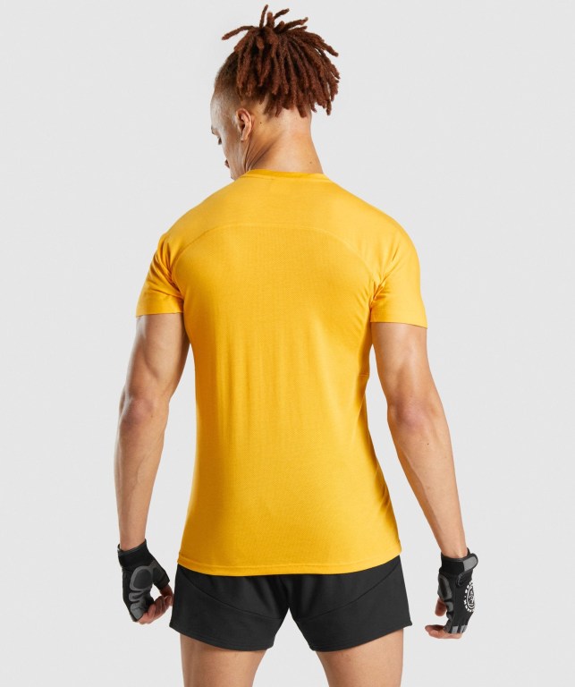 Gymshark Chalk Men's T Shirts Yellow | UAE-49ICWU